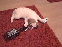 img_0296.jpg
