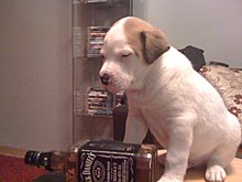 img_0297.jpg