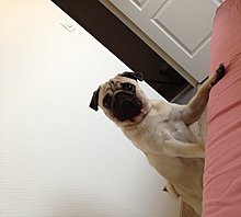 img_0253.jpg