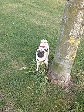 img_0329.jpg