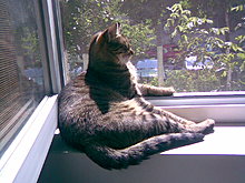 21062008.jpg