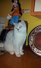 20120920_211430.jpg
