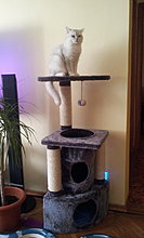 20120923_163319.jpg