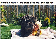 dogs_are_men_best_friend_01.jpg