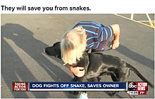 dogs_are_men_best_friend_05.jpg