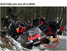 dogs_are_men_best_friend_06.jpg