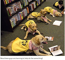 dogs_are_men_best_friend_09.jpg