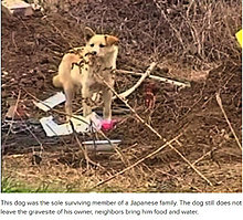 dogs_are_men_best_friend_14.jpg