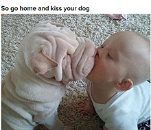 dogs_are_men_best_friend_16.jpg