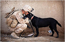 dogs_are_men_best_friend_19.jpg