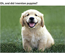 dogs_are_men_best_friend_20.jpg