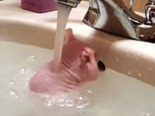 little_one.gif