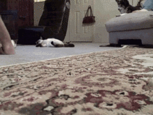 vruuum.gif
