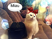 2012-12-09-00-29-55_deco.jpg