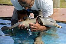 animal_babies_10.jpg