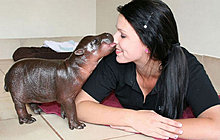 animal_babies_25.jpg