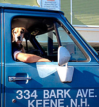 funny_pets_02.jpg