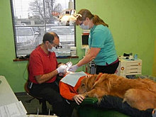 funny_pets_30.jpg