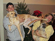 funny_pets_53.jpg