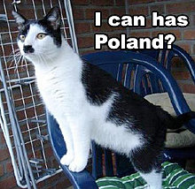 funny_pets_04.jpg