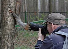 funny_pets_07.jpg