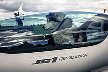 funny_pets_13.jpg