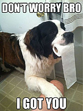funny_pets_31.jpg