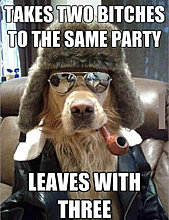 funny_pets_32.jpg