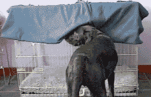 funny.gif