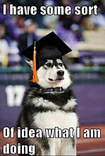 funny_pets_have_no_ideea_03.jpg