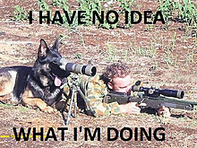 funny_pets_have_no_ideea_05.jpg