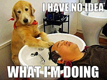 funny_pets_have_no_ideea_07.jpg