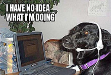 funny_pets_have_no_ideea_14.jpg