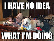 funny_pets_have_no_ideea_18.jpg
