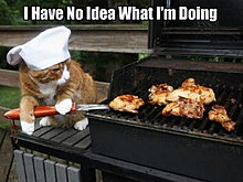 funny_pets_have_no_ideea_22.jpg