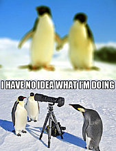 funny_pets_have_no_ideea_24.jpg