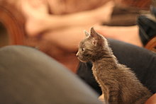 _mg_3658.jpg