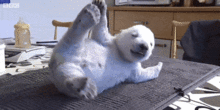 funny_bear_2.gif