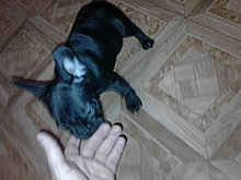 p271013_20.51.jpg