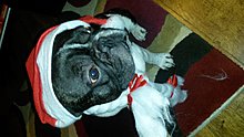 20131204_201757.jpg