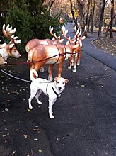 dante-parc.jpg