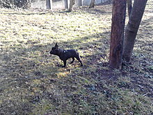 p150214_15.53.jpg