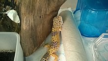 wp_20140610_013.jpg