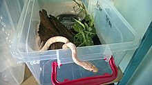 wp_20140610_008.jpg