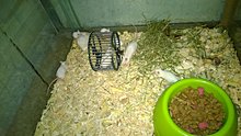 wp_20140510_13_17_27_pro.jpg