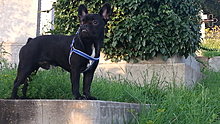 20140730_201112.jpg