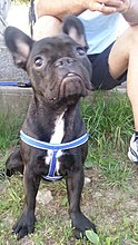 20140730_200631.jpg