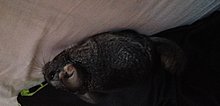 img_0303.jpg