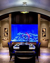 aquarium_ideeas_01.jpg