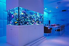 aquarium_ideeas_03.jpg